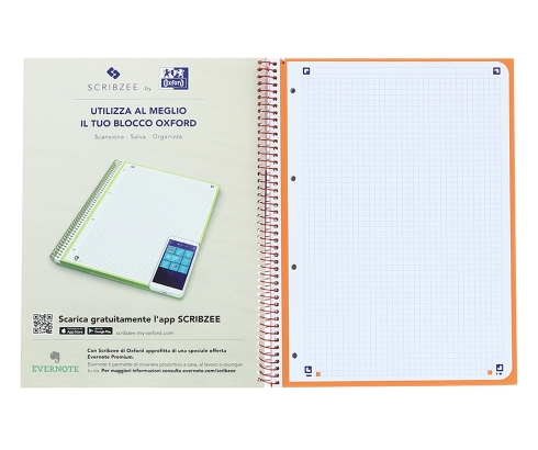 [050031] Blocco FAVORIT NEON1 TOUCH A4 160P SCRIBZEE