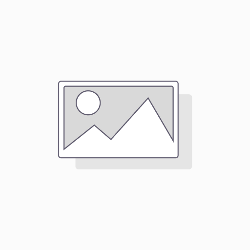 [890002] Foglio ULTRASILVER ARGENTO LASER 33x48.2 360GR.