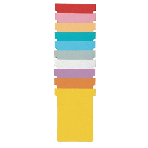 [D31483] 100 SCHEDE A T INDICE 1 BIANCHE PER PLANNERS