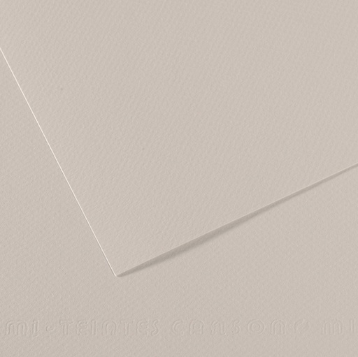 [D92869] Foglio MI-TEINTES A4 cm 160 gr. 120 grigio perla