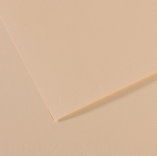 [D92872] Foglio MI-TEINTES A4 cm 160 gr. 112 conchiglia