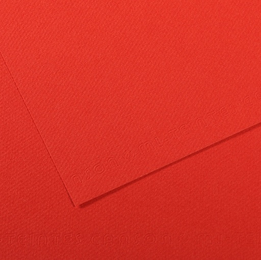 [D92879] Foglio MI-TEINTES A4 cm 160 gr. 506 papavero