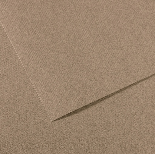 [D92885] Foglio MI-TEINTES A4 cm 160 gr. 431 grigio screziato