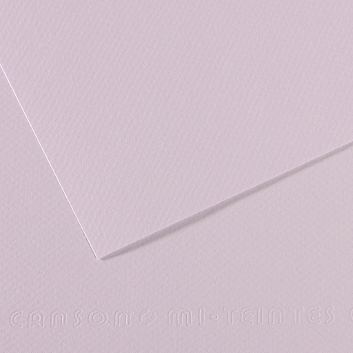 [D92892] Foglio MI-TEINTES A4 cm 160 gr. 104 lilla