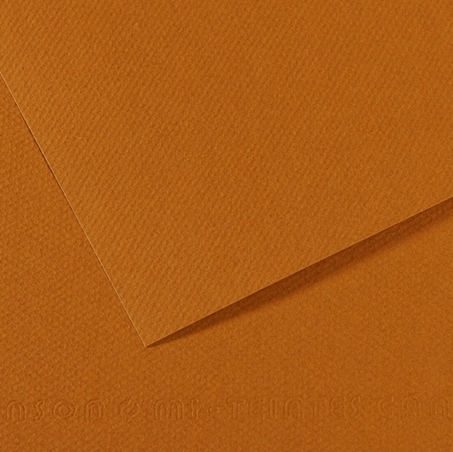 [D92895] Foglio MI-TEINTES A4 cm 160 gr. 502 avana chiaro