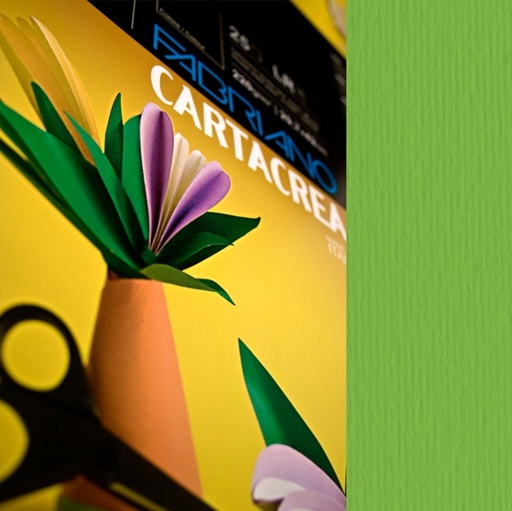 [D37235] CARTONCINO 35x50cm 220gr - Liscio/ruvido - Fabriano Elle Erre - verde