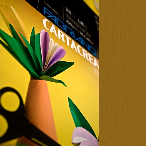 [D37238] CARTONCINO 35x50cm 220gr - Liscio/ruvido - Fabriano Elle Erre - marrone