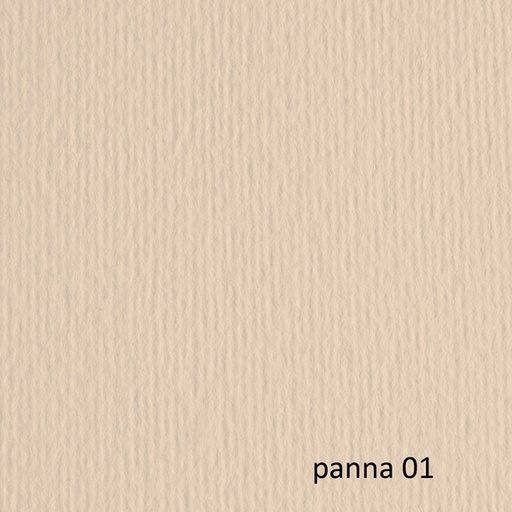 [D40194] CARTONCINO 70X100 220GR PANNA 101 FABRIANO ELLE ERRE - BLISTER 10FG
