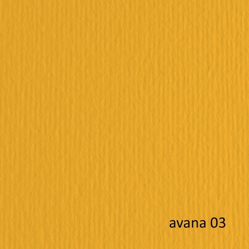 [D40197] CARTONCINO 70X100 220GR AVANA 103 FABRIANO ELLE ERRE - BLISTER 10FG
