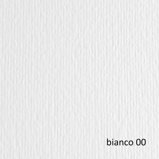 [D46489] BLISTER 20FG CARTONCINO 50X70 220GR BIANCO 100 FABRIANO ELLE ERRE