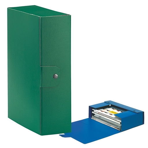 [D48356] Scatola progetto C30 25x35cm dorso 10 verde ESSELTE