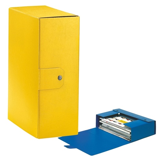 [D49433] Scatola progetto C32 25x35cm dorso 12 giallo ESSELTE