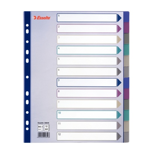 [D49633] Separatore in PPL traslucido 12 tasti f.to A4 MAXI 24,5x29,7cm ESSELTE