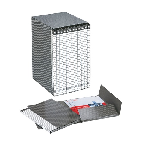 [D50123] Gruppo DELSO LINE I55 12 cartelle 2 lembi dorso 1,5cm ESSELTE