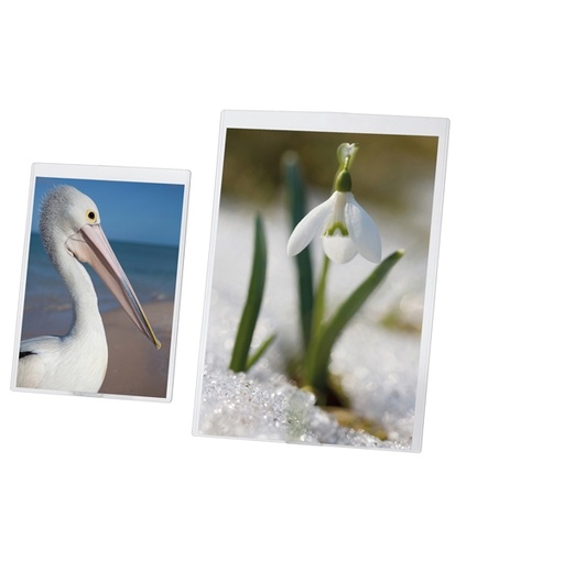 [D50518] PORTADEPLIANT A4 IN PVC SEMIRIGIDO