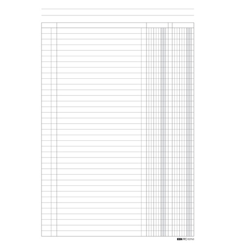 [D52869] REGISTRO A 2 COLONNE 100PAG. 31X24CM E2763