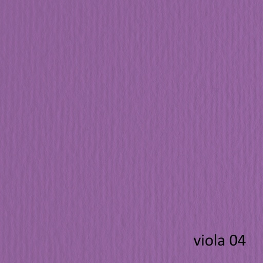[D53105] CARTONCINO 50X70 220GR VIOLA 104 FABRIANO ELLE ERRE - BLISTER 20FG