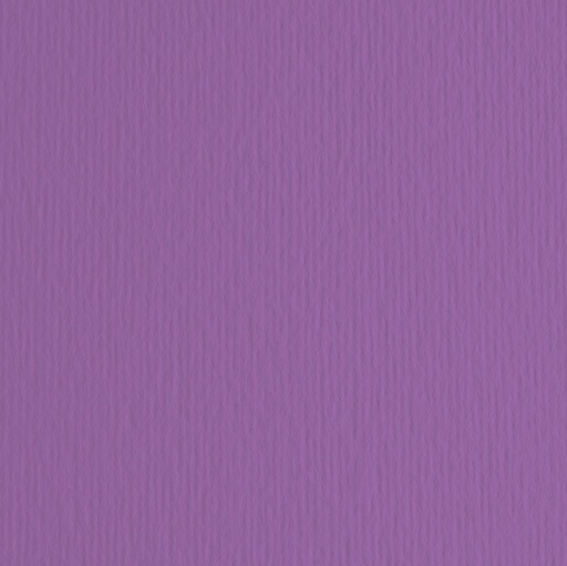 [D53106] CARTONCINO 70X100 220GR VIOLA 104 FABRIANO ELLE ERRE - BLISTER 10FG