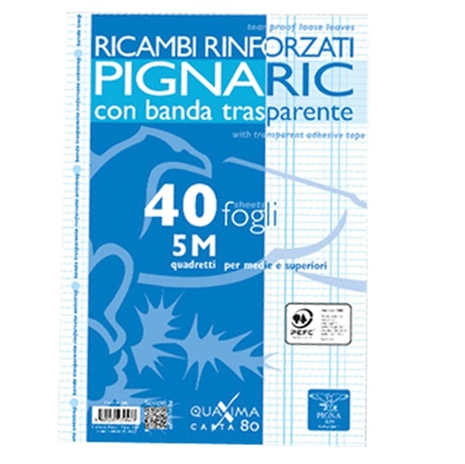 [D54884] RICAMBI FORATI RINFORZATI A4 5MM 40FG 80GR PIGNARIC