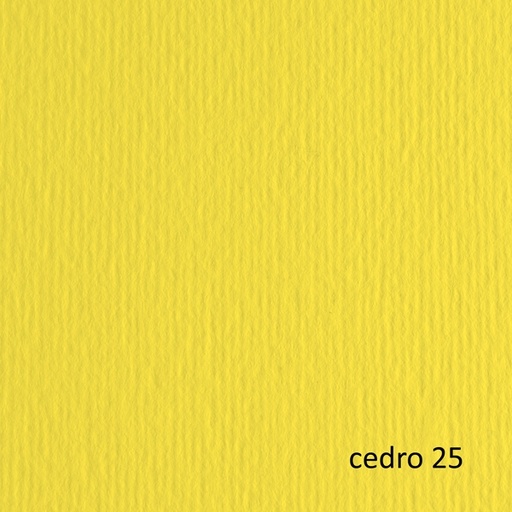 [D67614] CARTONCINO 50X70 220GR CEDRO 25 FABRIANO ELLE ERRE - BLISTER 20FG