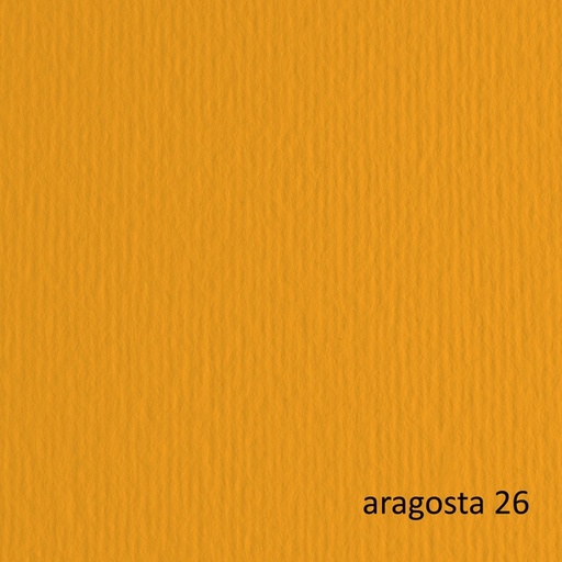 [D67615] CARTONCINO 50X70 220GR ARAGOSTA 26 FABRIANO ELLE ERRE - BLISTER 20FG