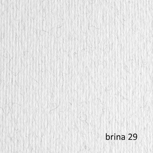 [D67618] CARTONCINO 50X70 220GR BRINA 29 FABRIANO ELLE ERRE - BLISTER 20FG