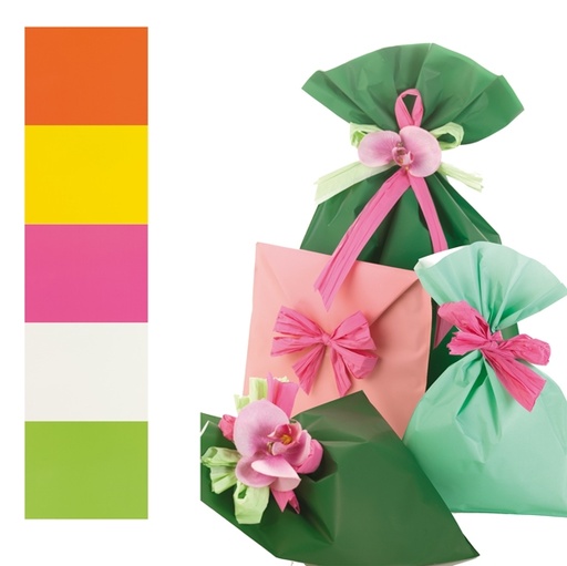 [D70930] 100 BUSTE REGALO IN PPL PERLA MAT 25x40cm assortimento 5 colori