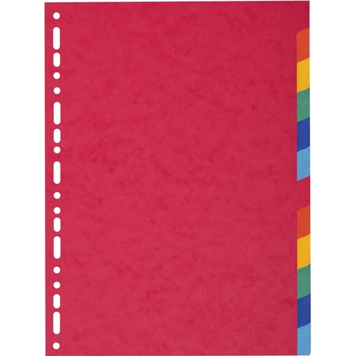 [D71841] SEPARATORE A4 A 12TACCHE in CARTONCINO RICICLATO 220gr FOREVER