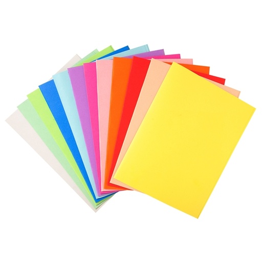 [D71853] 100 CARTELLINE SEMPLICI 220gr 24x32cm MIX 10 COLORI FOLDYNE