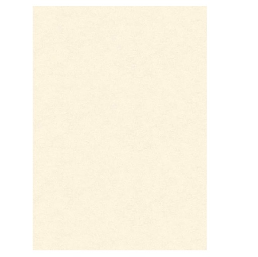 [D74576] BLISTER 10 DIPLOMI PERGAMENA 210x297mm 160gr neutro avorio KARTOS