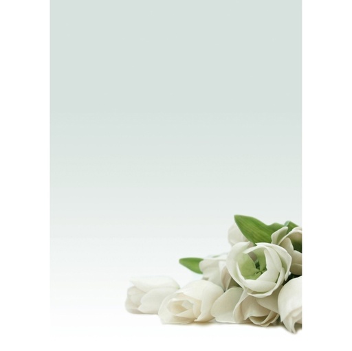 [D76227] CARTA CON STAMPA "ROSA BIANCA'" A4 90GR 20FG DECADRY