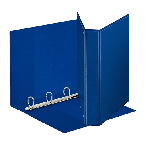 [D80300] Raccoglitore DISPLAY MAXI 22x30cm 4D H30mm blu personalizzabile ESSELTE