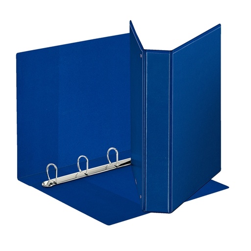 [D80301] Raccoglitore DISPLAY MAXI 22x30cm 4D H40mm blu personalizzabile ESSELTE