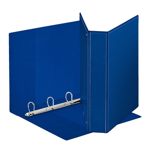[D80302] Raccoglitore DISPLAY MAXI 22x30cm 4D H50mm blu personalizzabile ESSELTE