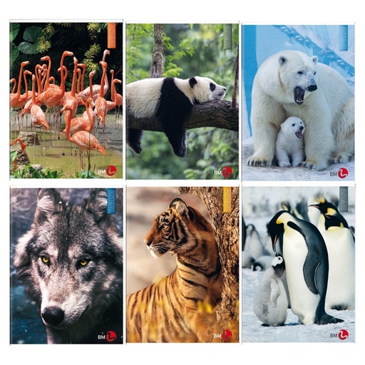[D82526] Maxiquaderno A4 40fg+2 80gr rigo di 1a Animal 2021 BM