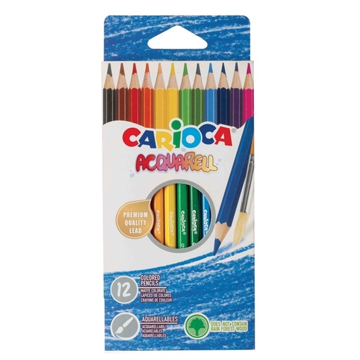 [D82593] Astuccio 12 matite acquerellabili colori assortiti Carioca