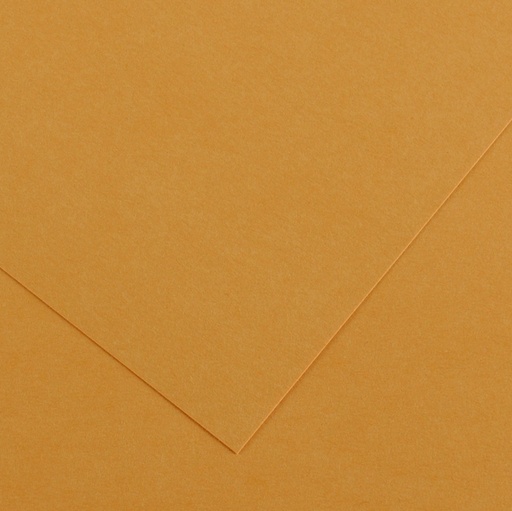 [D85589] Foglio COLORLINE 70x100 cm 220 gr. 32 Cuoio