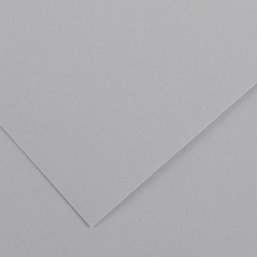 [D85592] Foglio COLORLINE 70x100 cm 220 gr. 35 Grigio chiaro