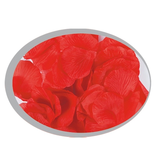 [D85942] Busta da 144 petali rossi Big Party