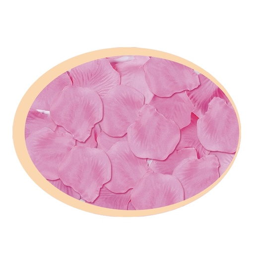 [D85943] Busta da 144 petali rosa Big Party