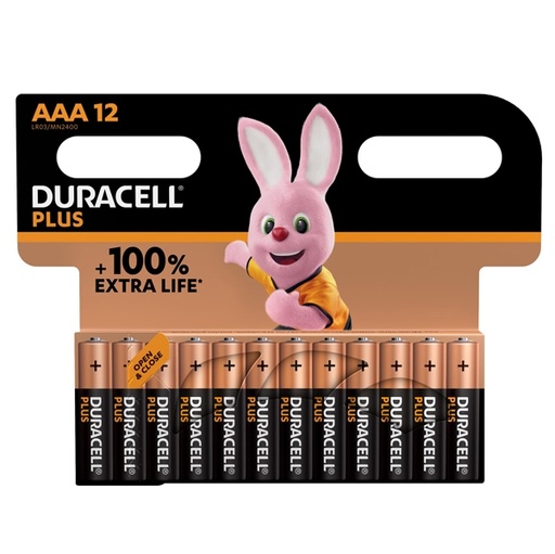 [D88049] Blister 12 pile Duracell Plus Power - AA