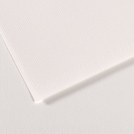 [D92868] Foglio MI-TEINTES A4 cm 160 gr. 335 bianco