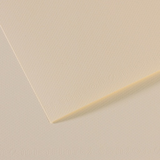[D92870] Foglio MI-TEINTES A4 cm 160 gr. 110 giglio