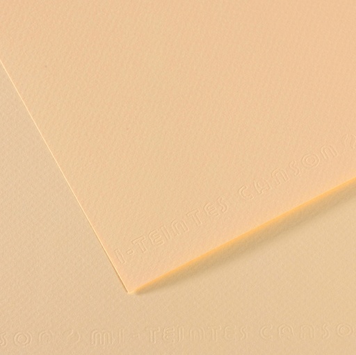 [D92871] Foglio MI-TEINTES A4 cm 160 gr. 111 avorio
