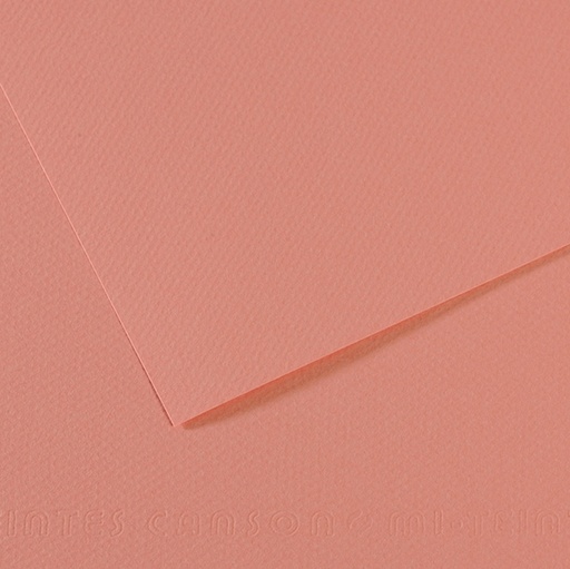 [D92873] Foglio MI-TEINTES A4 cm 160 gr. 352 rosa scuro