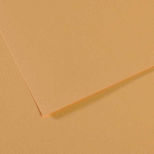 [D92874] Foglio MI-TEINTES A4 cm 160 gr. 340 canapa chiara