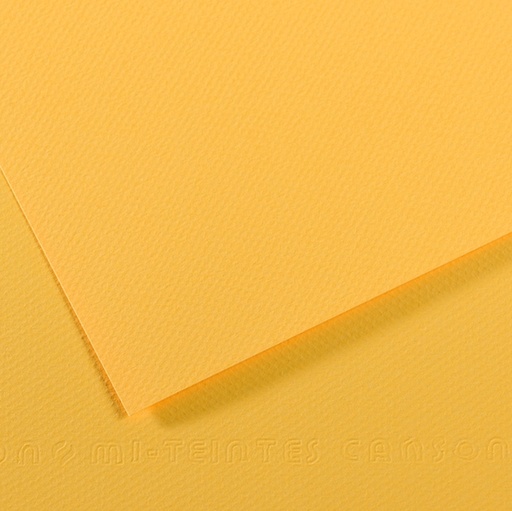 [D92876] Foglio MI-TEINTES A4 cm 160 gr. 400 botton d'oro