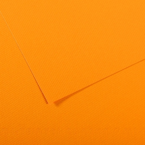 [D92877] Foglio MI-TEINTES A4 cm 160 gr. 553 giallo sole