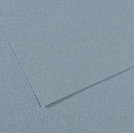 [D92881] Foglio MI-TEINTES A4 cm 160 gr. 490 blu chiaro