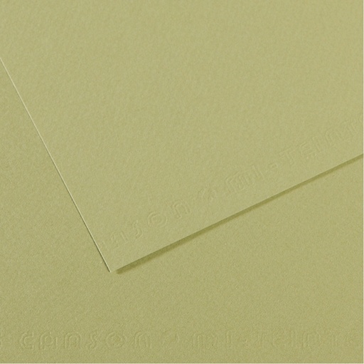 [D92882] Foglio MI-TEINTES A4 160 gr. 480 verde mandorla